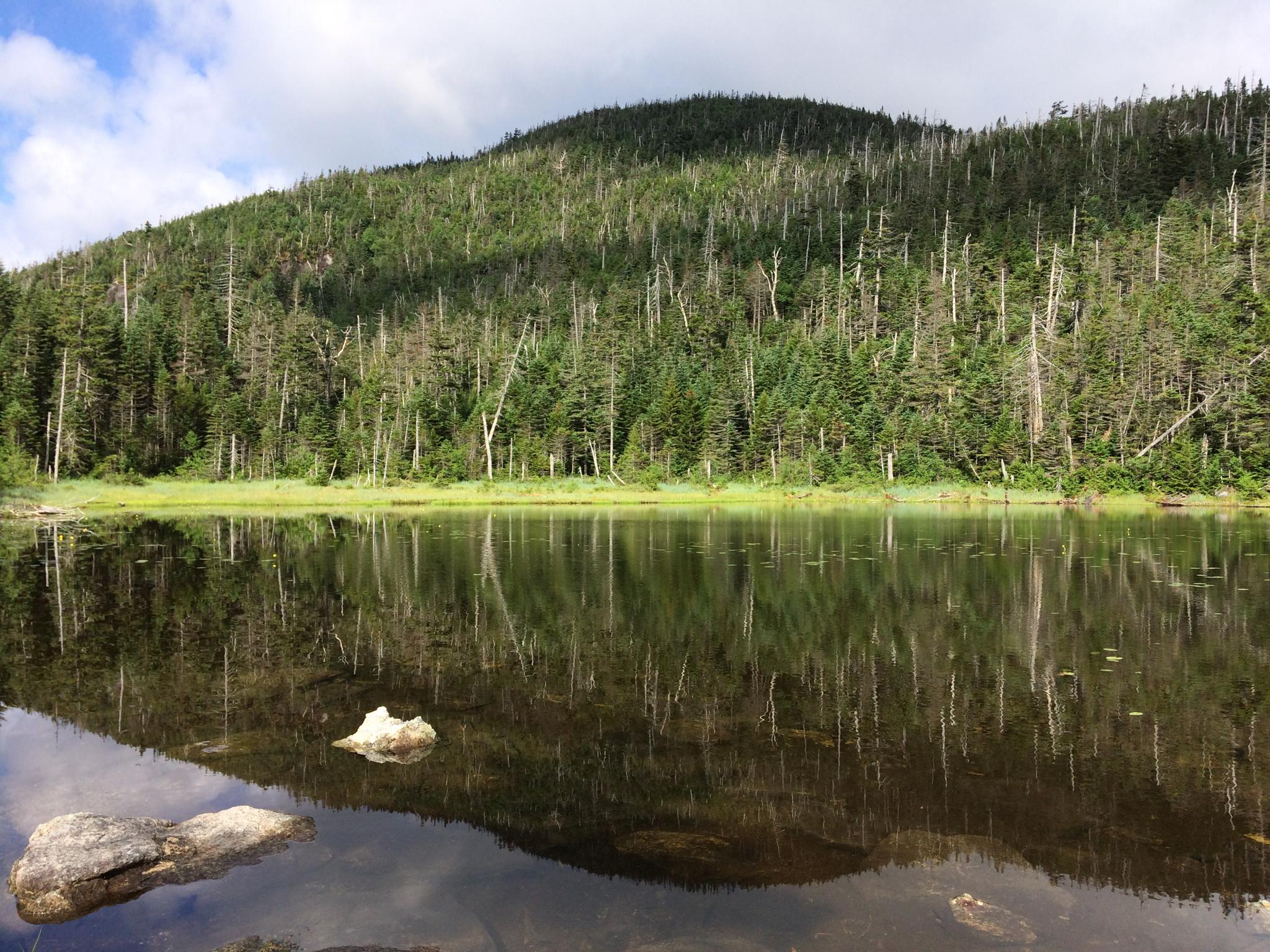 A calm lake perfectly reflecting a forested mountain under a partly cloudy sky.