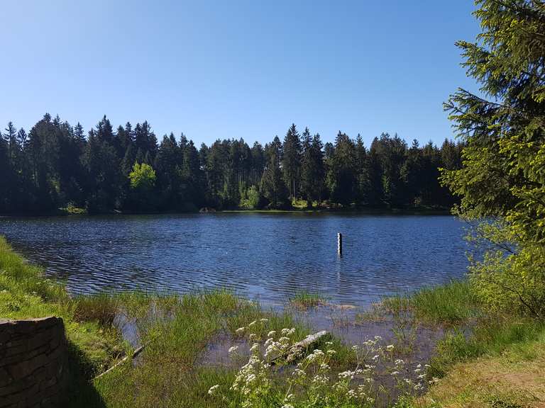 Oberer Hahnebalzer Teich (HWN 141) Wanderungen und Rundwege komoot