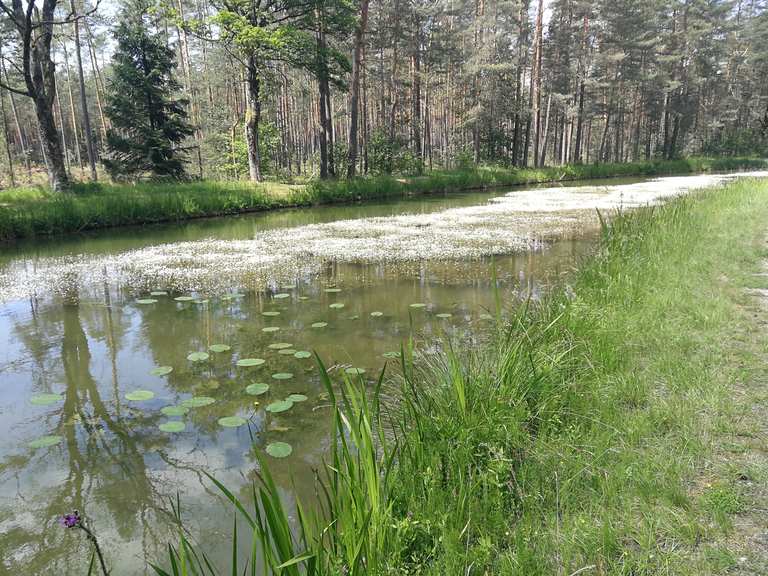 König Ludwig Kanal: Radtouren und Radwege | komoot