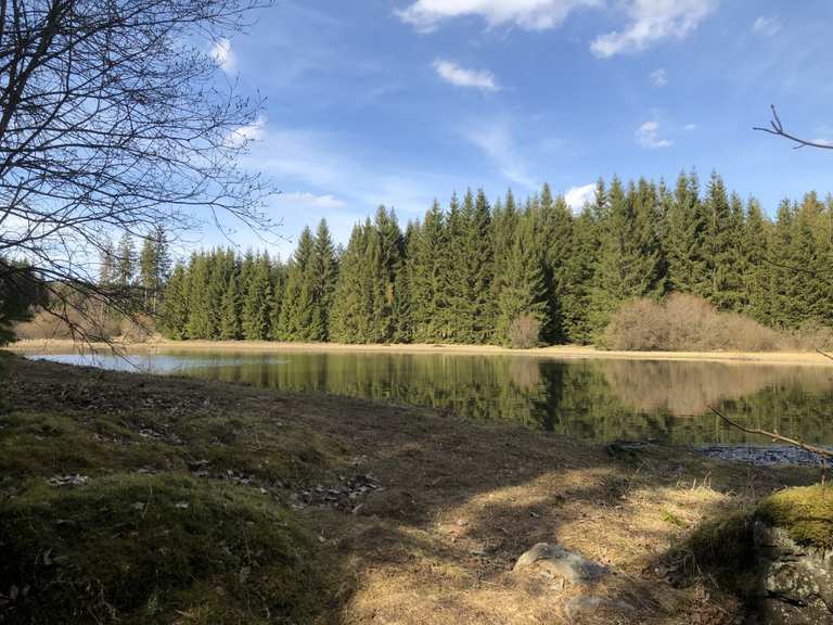 Schwarzer Teich Langenbacher Forst, Kronach Wandertipps & Fotos