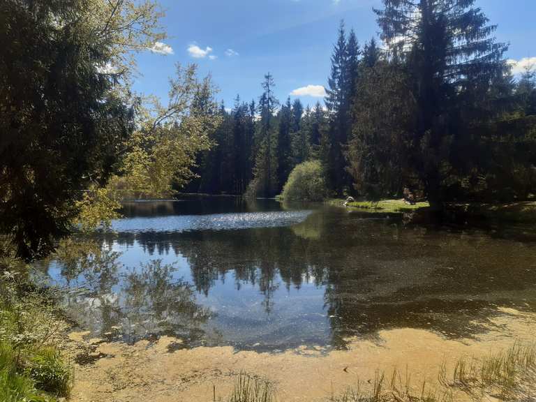 Ochsenbacher Teich MountainbikeTouren und Trails komoot
