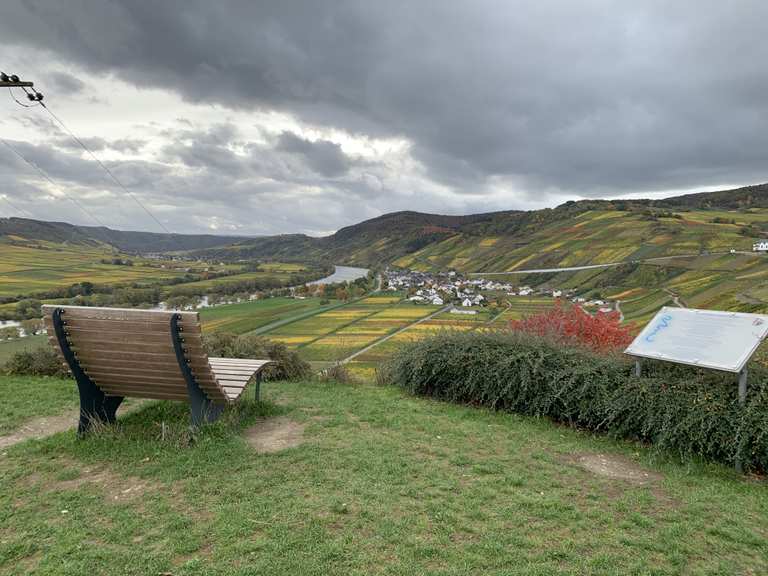 Aussichtspunkt Monzeler Kätzchen Routes for Walking and Hiking | Komoot