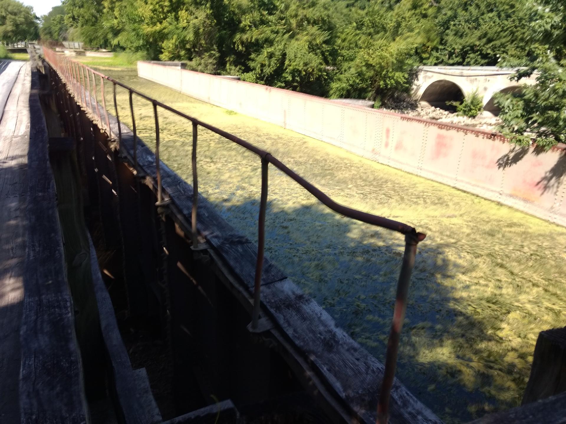 Overgrown canal with green algae, rusty railings, and a distant stone archway.