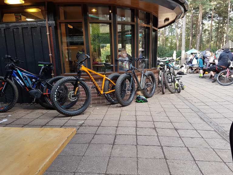 Swinley Bike Hub Mountain Bike Trails & Tracks Komoot