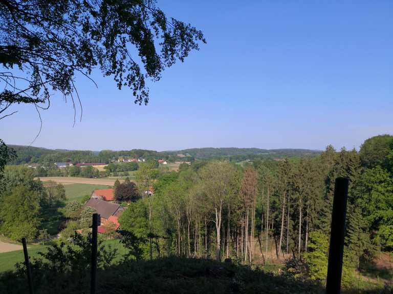 Bärlauchblüte Ende April, ein weißer Teppich säumt den Weg ...