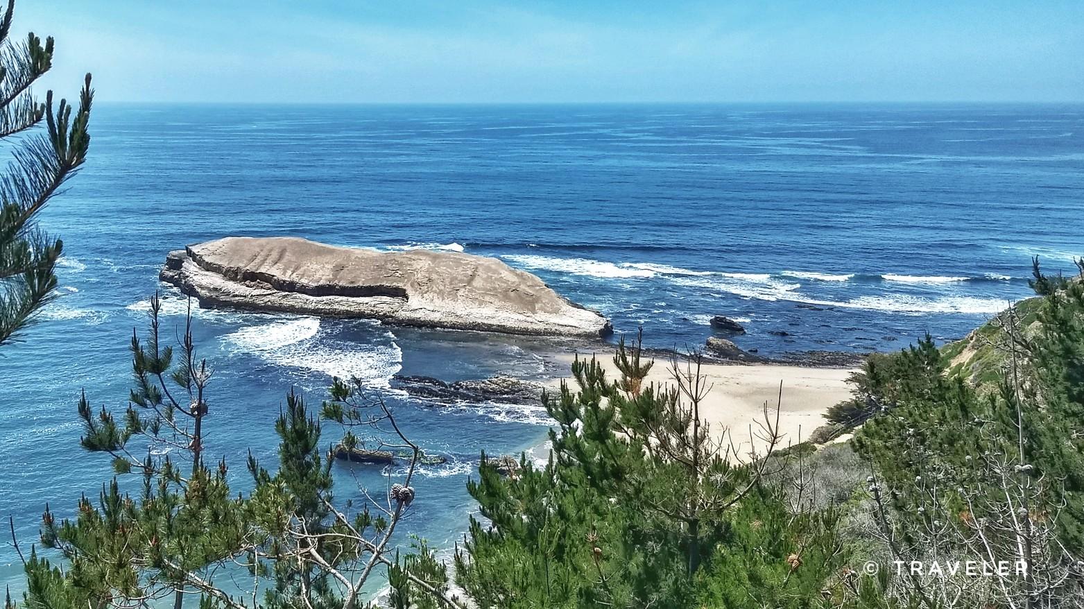 Ocean view with a large rock formation and waves, framed by pine trees.