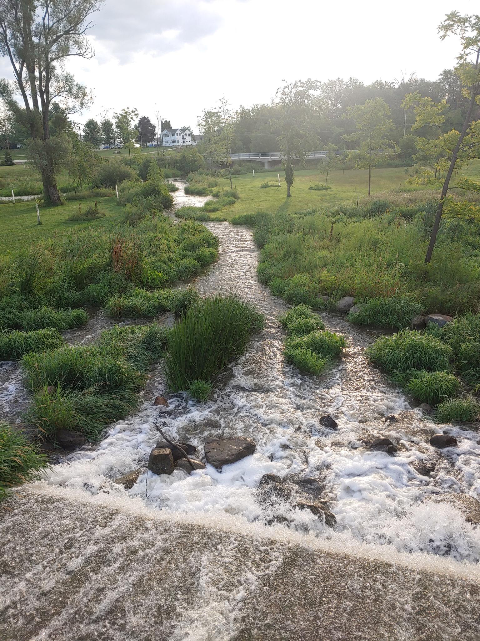 A sunlit stream flows over rocks through a lush green landscape.