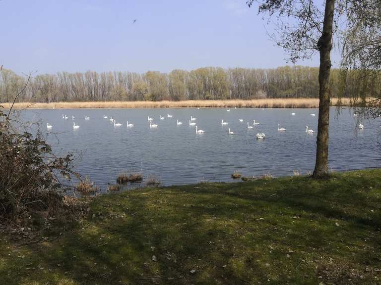 Herbslebener Teiche Routes for Walking and Hiking Komoot