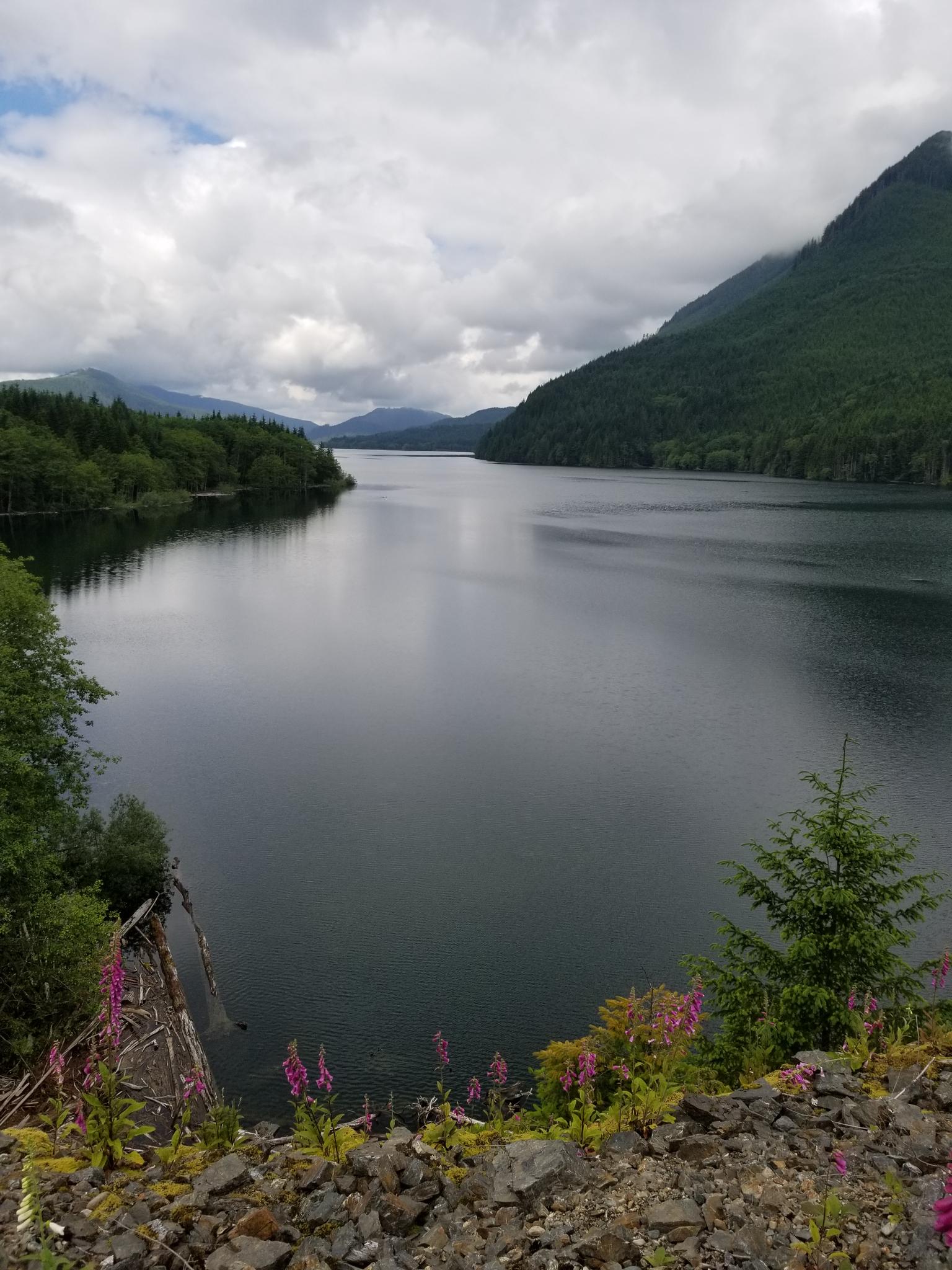 Calm lake surrounded by forested mountains under a cloudy sky with wildflowers.