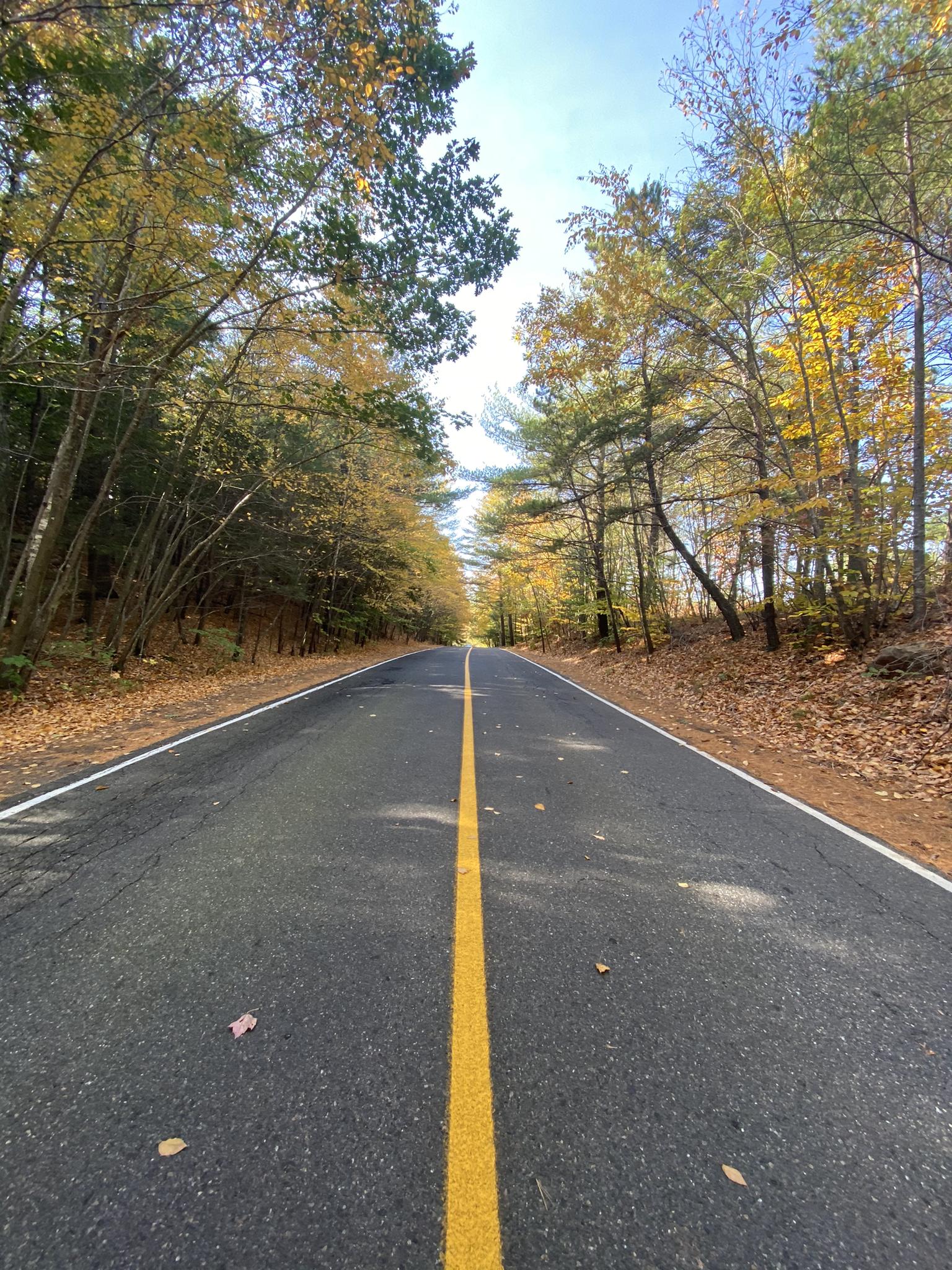 Empty paved road with a yellow line, flanked by autumn trees.