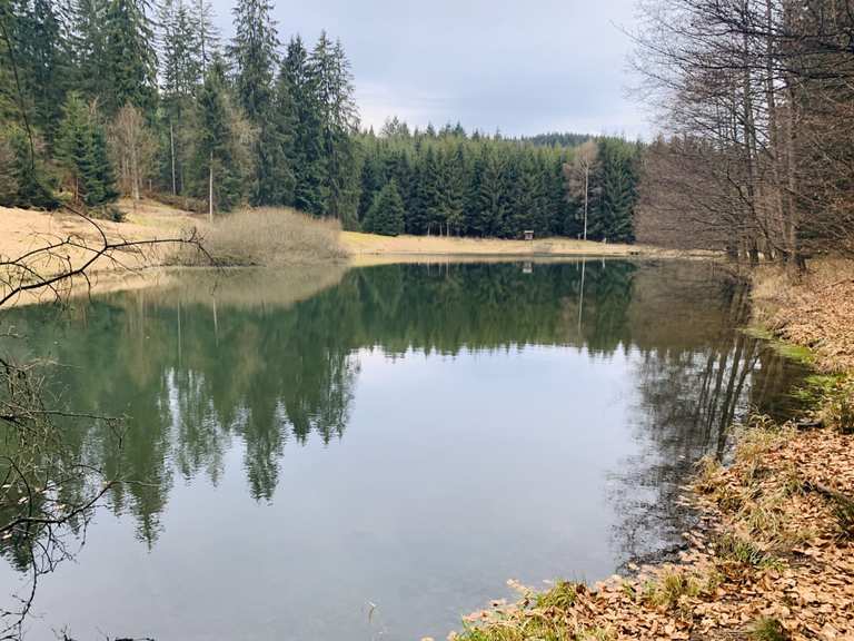 Dreisbachteich Mountain Bike Trails & Tracks Komoot