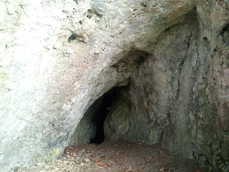 Cave de service Le Chai LB555