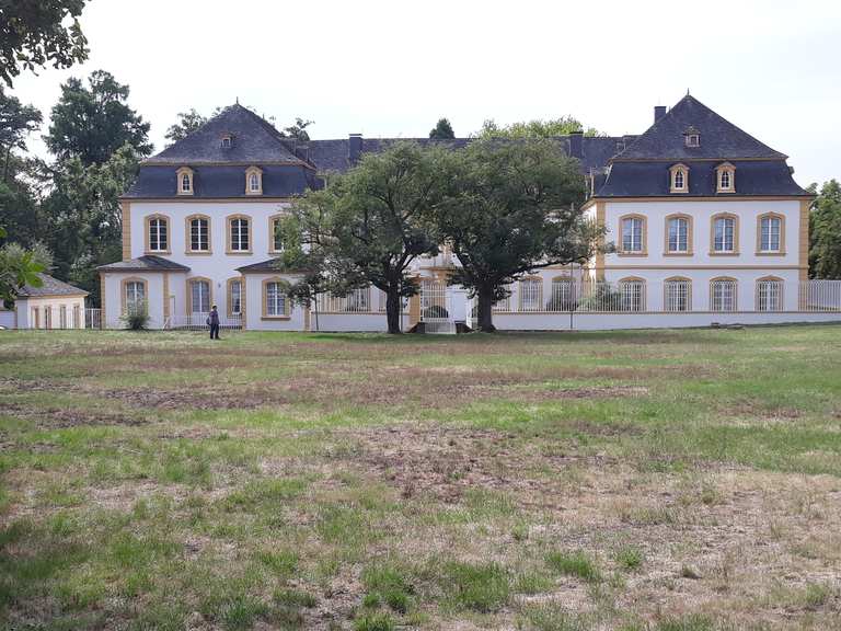 Schloss Quint Rhineland Palatinate Germany Cycling Tips Photos Komoot