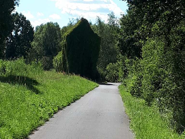 Haus im wilden Wein - Lübben (Spreewald), Spreewald ...