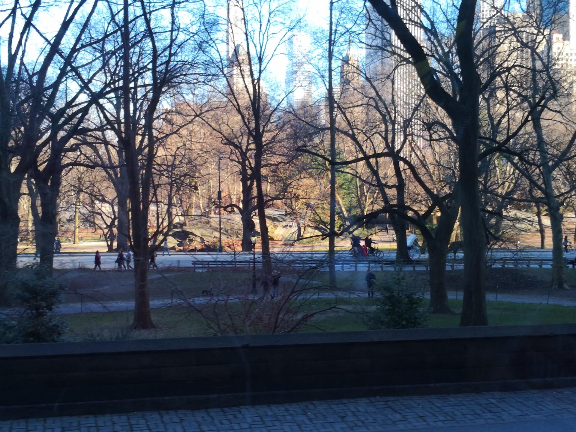 Bare trees in a park with distant city buildings and people walking.