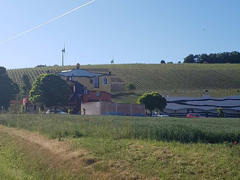 Weingut Hirn Hundertwasserhaus Eisenheim, Würzburg