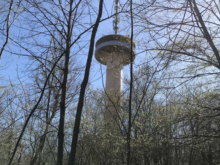 Gaußturm Wanderungen und Rundwege komoot