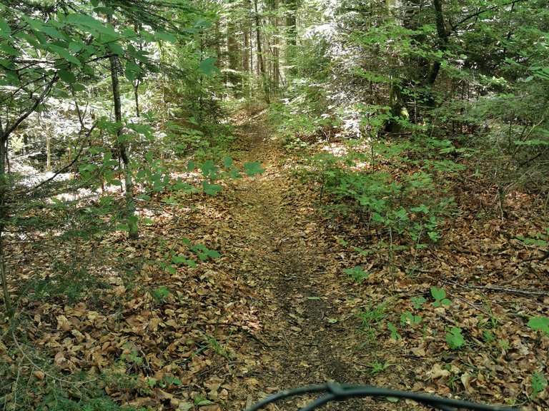 Bremer Zick Zack Trail Bern Mittelland Bern Mtb Trail Komoot