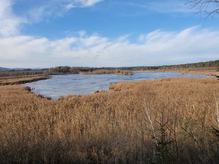 Aussichtsturm Ainringer Moor Wanderungen und Rundwege komoot