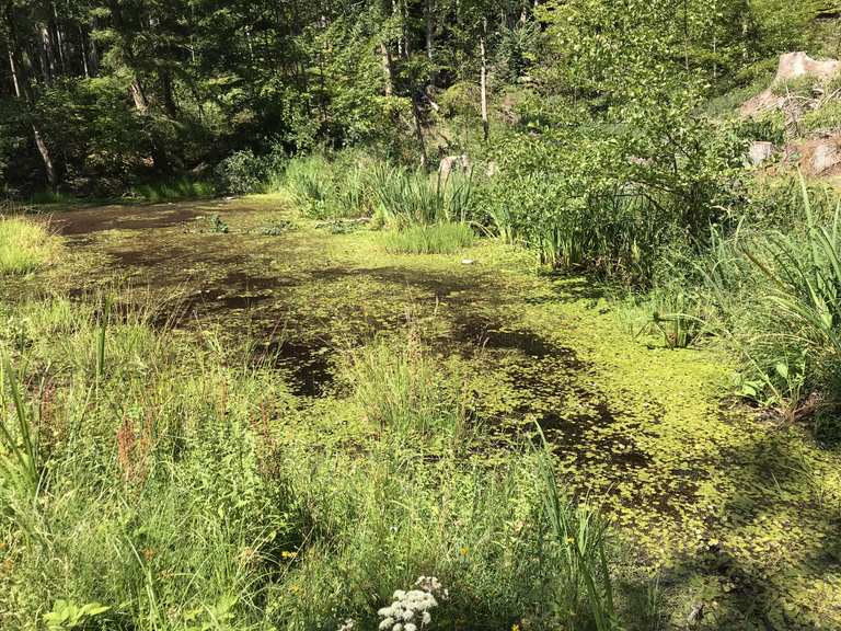Sieben Teiche Routes for Walking and Hiking Komoot