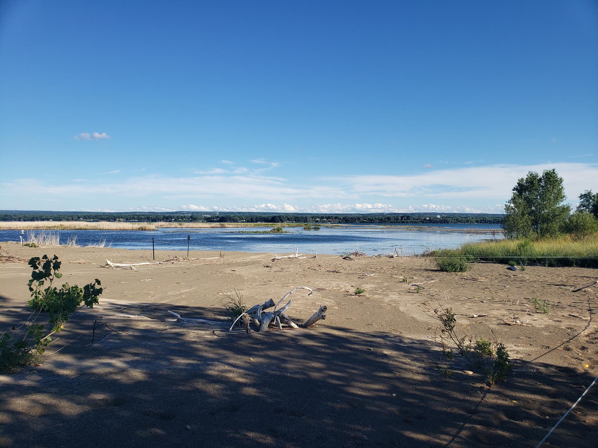 A sunny sandy beach with driftwood, leading to a wide body of water.