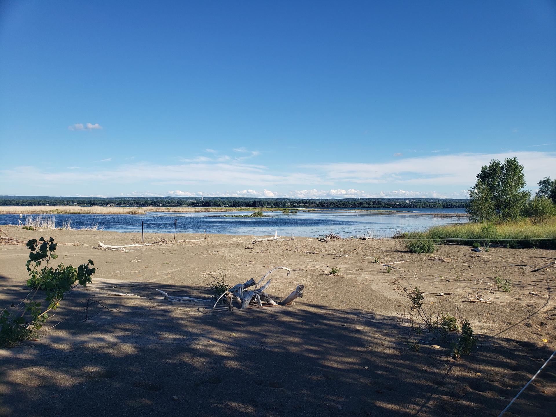 A sunny sandy beach with driftwood, leading to a wide body of water.
