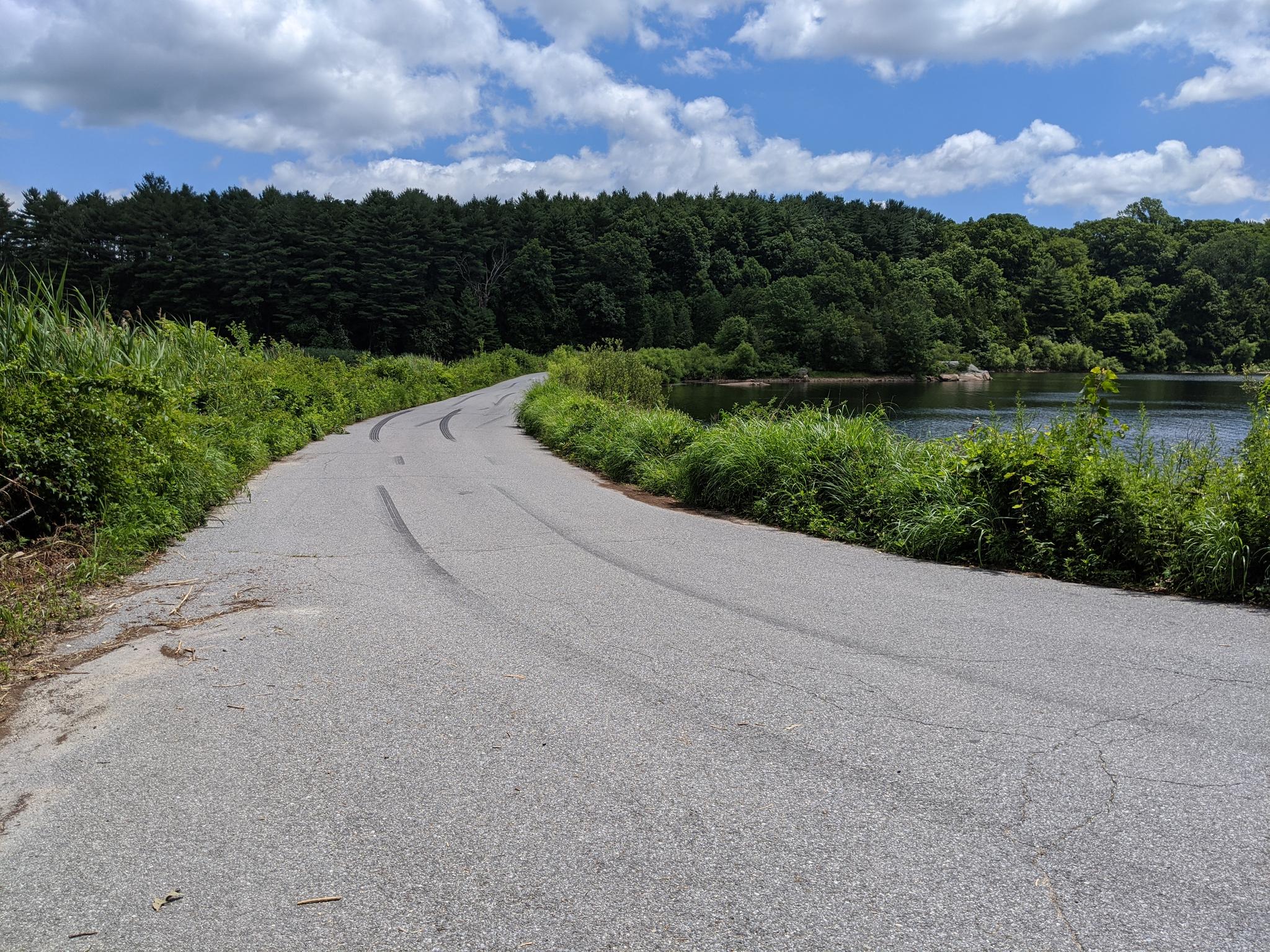 Paved road curves alongside a lake with green trees and bushes.