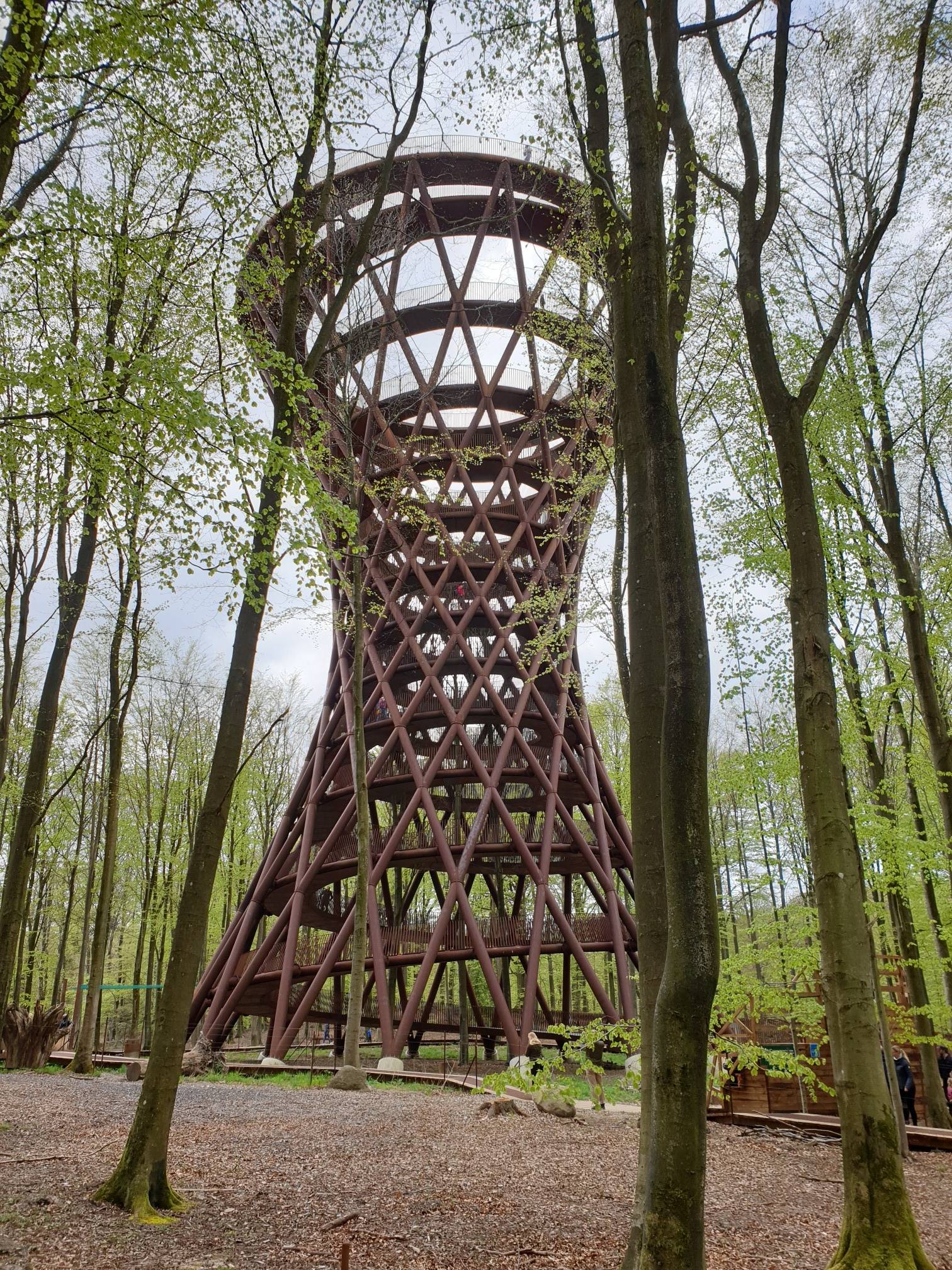 Forest Tower (Skovtrnet) at Camp Adventure  Hikes & How to Get There |  Komoot