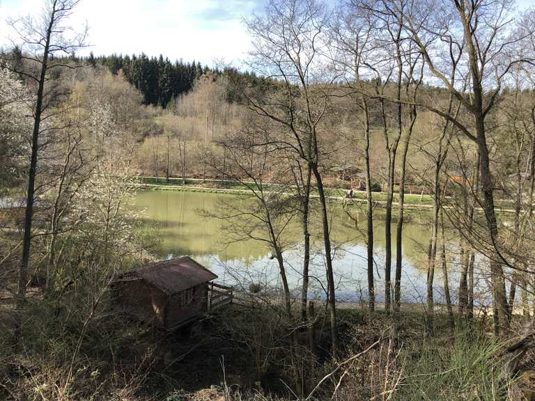 Angelteiche Barweiler Mühle Wanderungen und Rundwege komoot