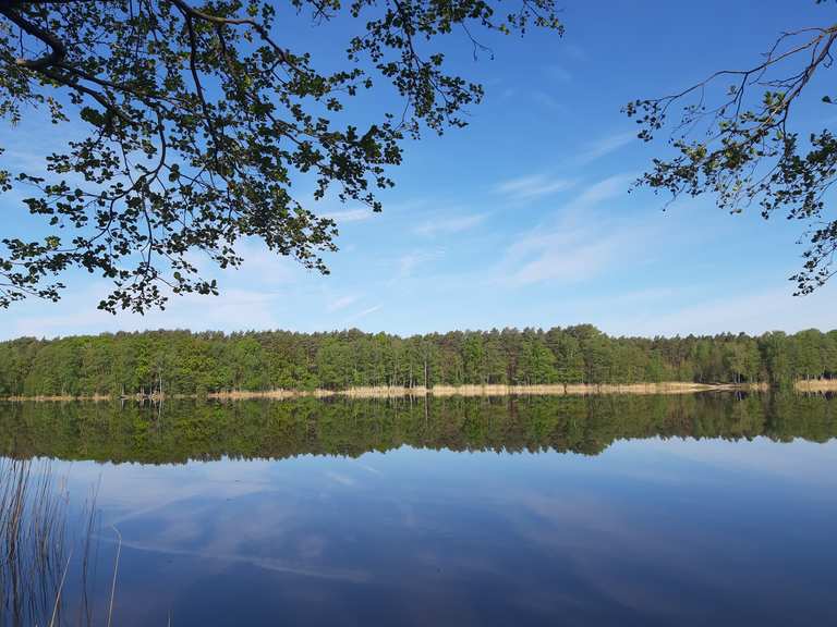 Tiefer See [Ostufer] Wanderungen und Rundwege komoot