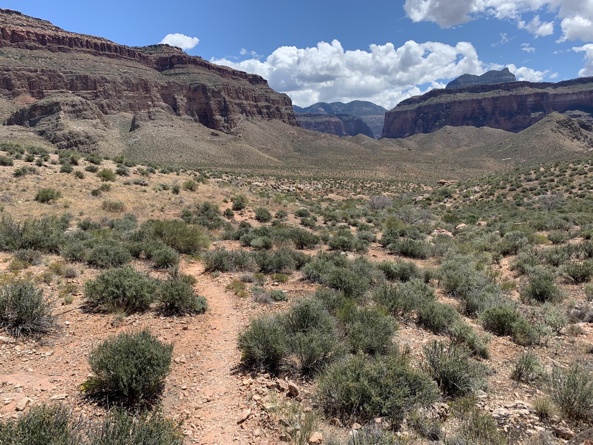 Wide desert valley with sparse green brush, distant mesas, and a partly cloudy sky.
