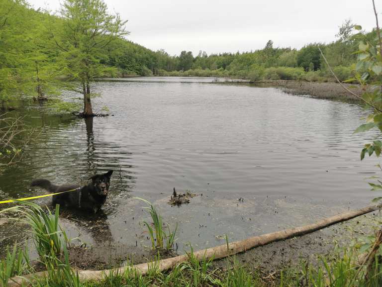 Kleiner See Wanderungen und Rundwege komoot