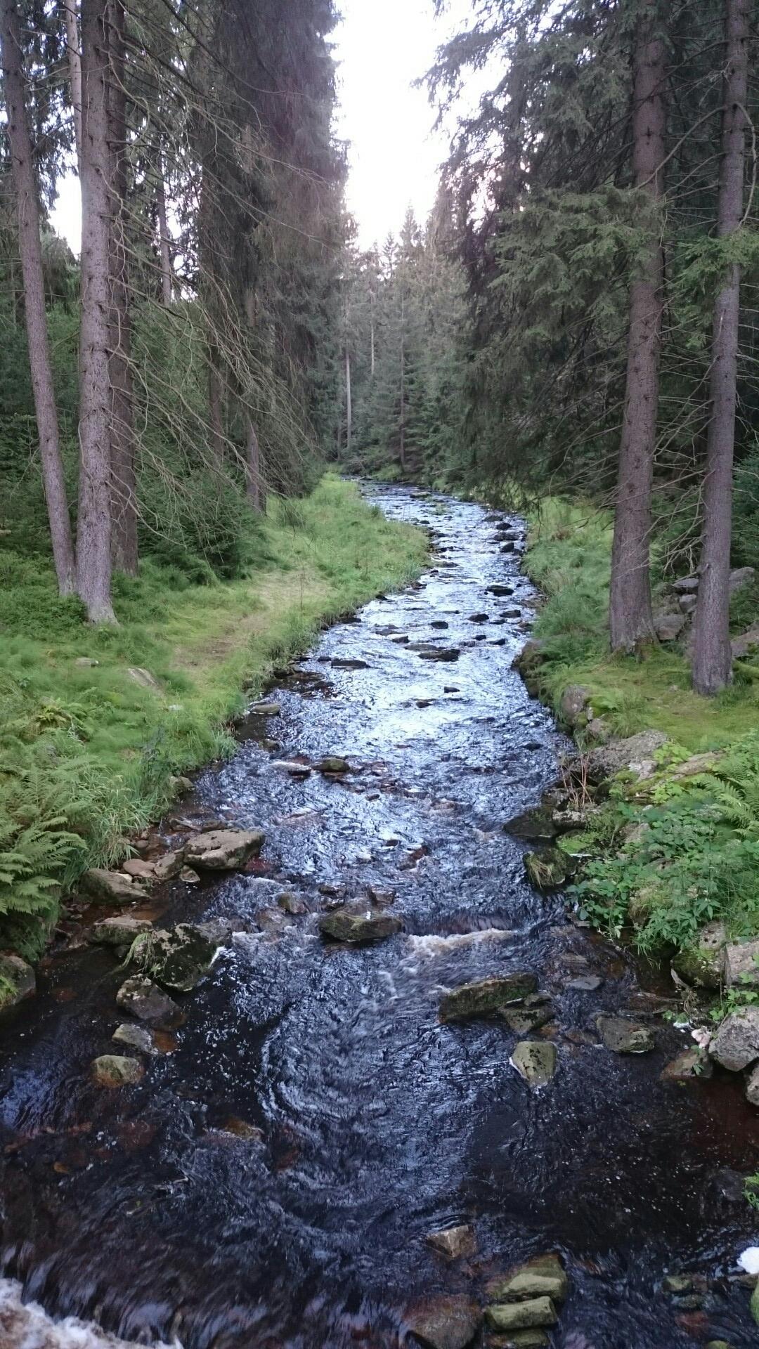 schwarzwassertal radweg