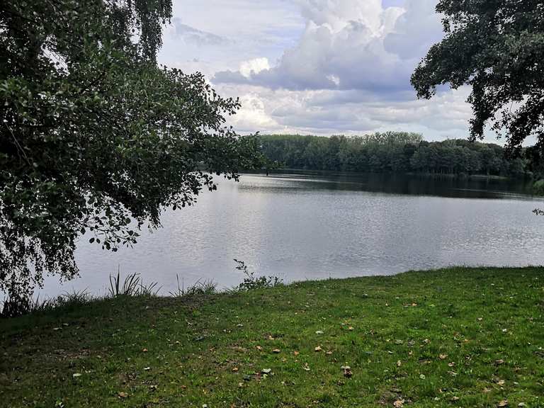 Kronensee Schwagstorf Radtouren und Radwege komoot