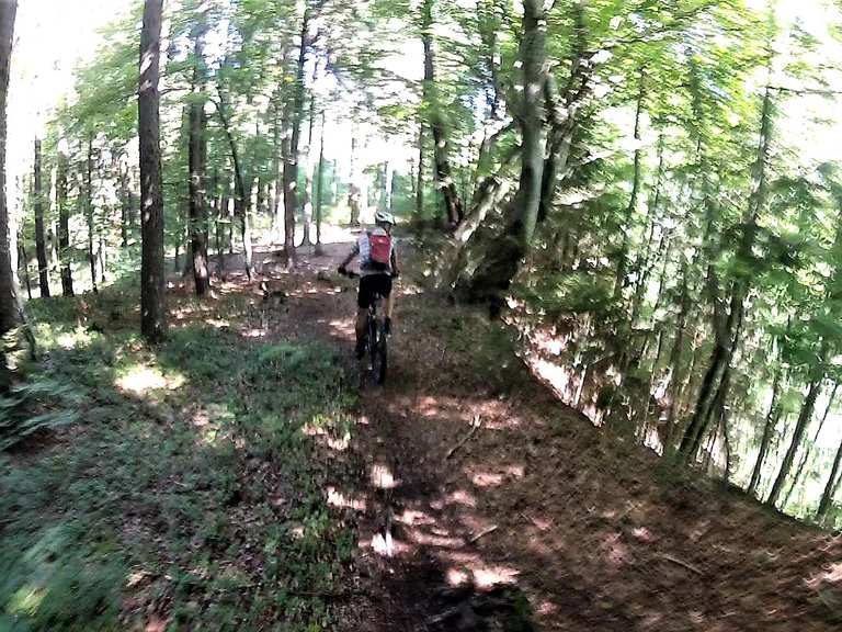 singletrails bodensee
