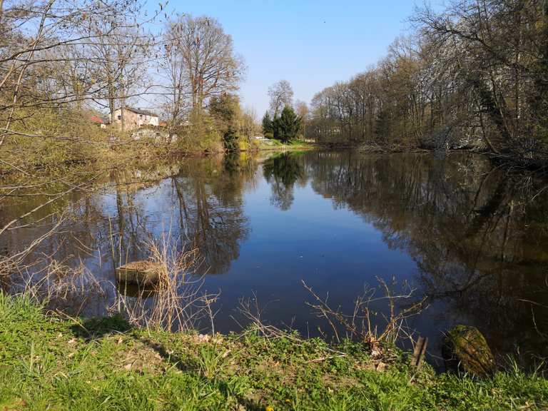 Großer Teich Stadtpark LimbachOberfrohna Runde von Kändler