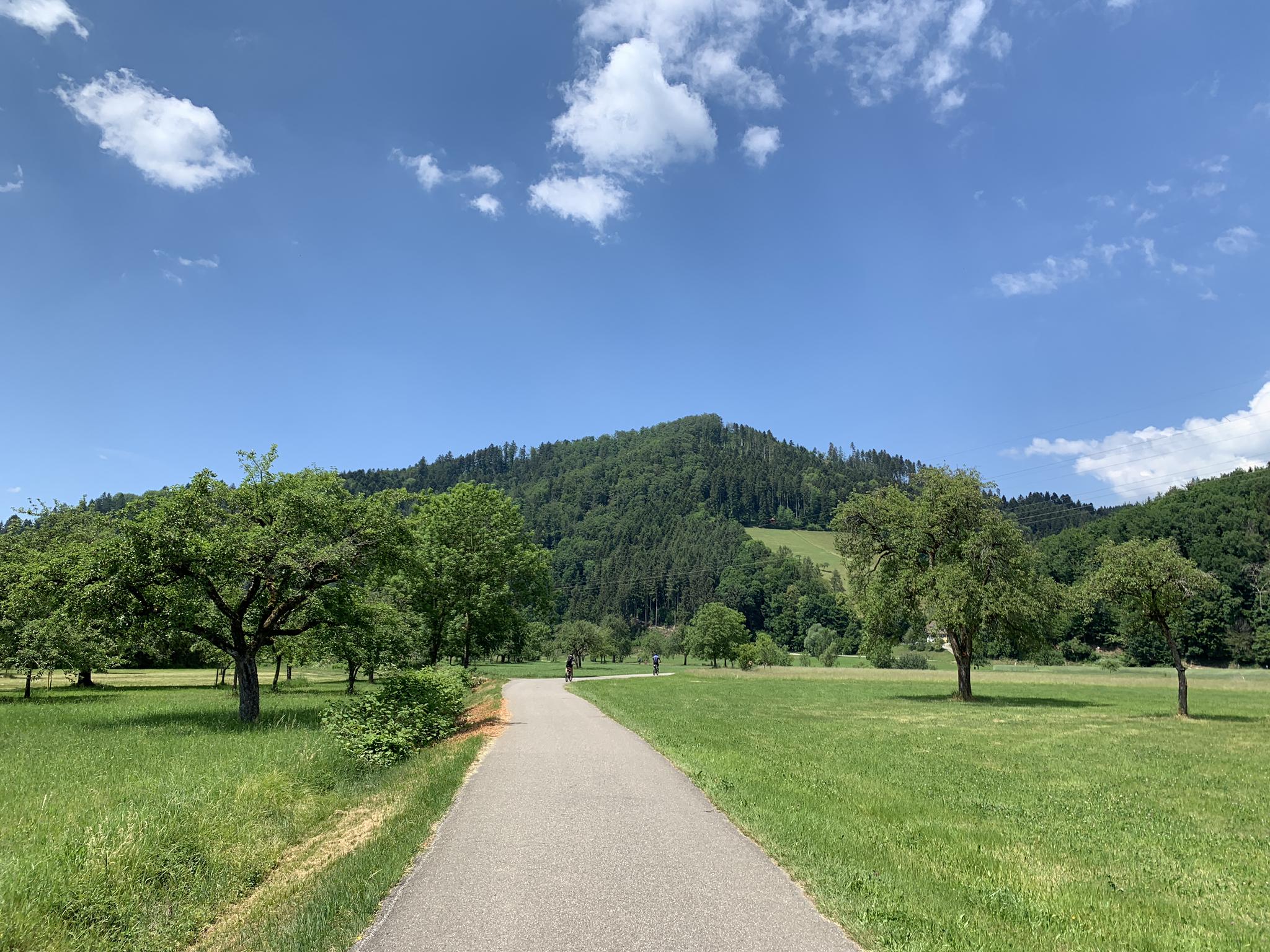 Schöner Radweg An Der Kinzig: Radtouren Und Radwege | Komoot