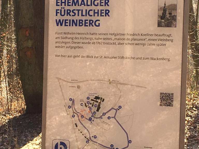 Historischer Halberg - Mountain Bike Trails & Tracks | Komoot