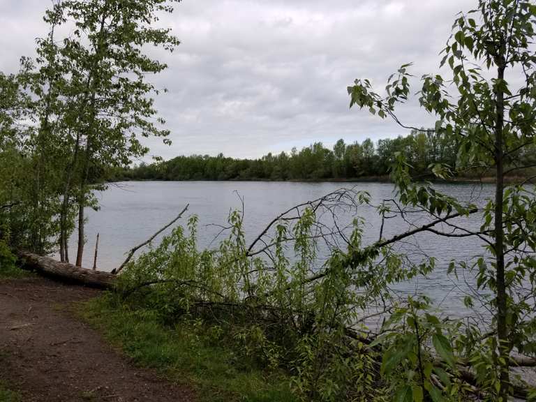 Landschaftssee Allacher Lohe Wanderungen und Rundwege