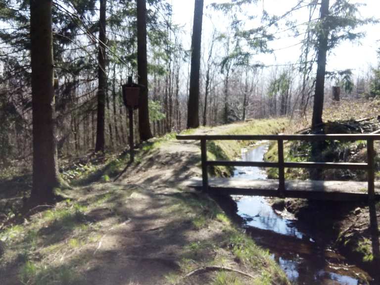 Entlang des Schalker Grabens Kiefhölzer Teich Runde von Schulenberg