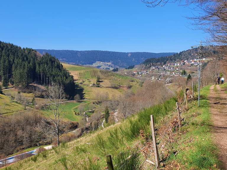 Himmelssteig: Wanderungen und Rundwege | komoot