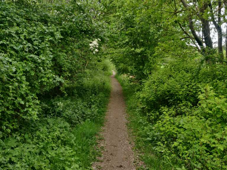 Woodlesford Lock – Lemonroyd Marina loop from Mickletown | ride | Komoot