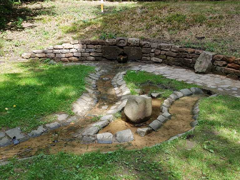 Erlenbrunnen MountainbikeTouren und Trails komoot