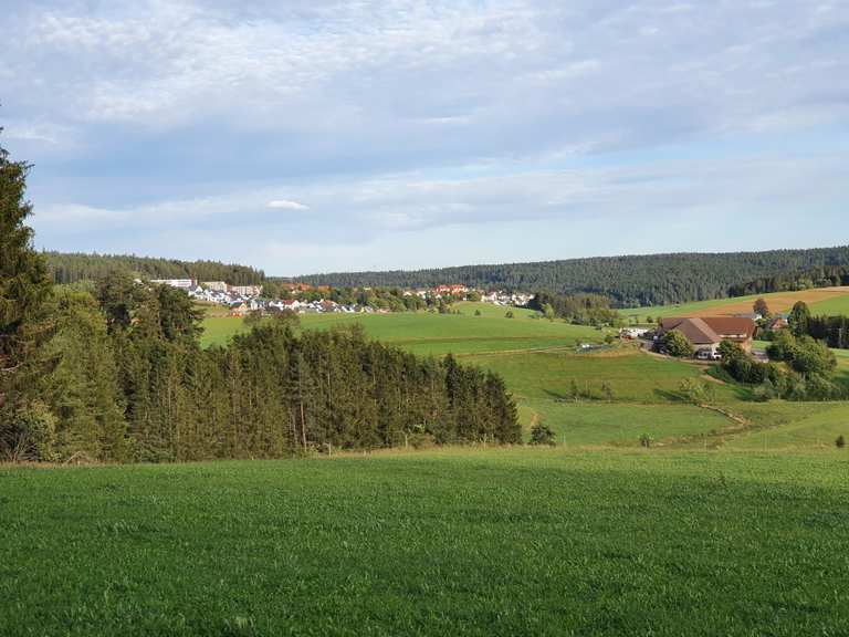 Gasthaus Staude Sicht auf St. Runde von Langenschiltach