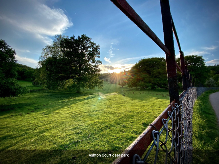 ashton court mtb trails map