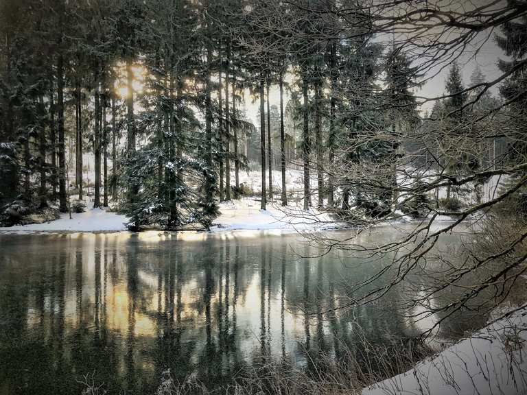 Waldidylle am Innerste Sprung (Biotop): Wanderungen und Rundwege 