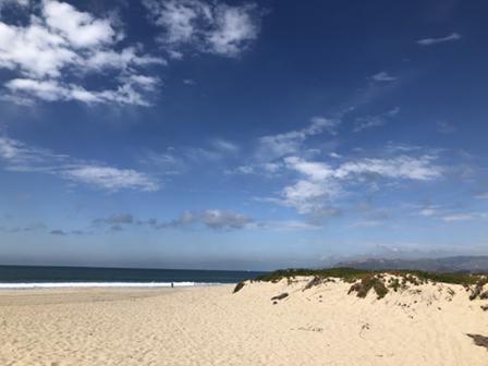 Wide sandy beach with ocean waves, dunes, and a bright blue sky.
