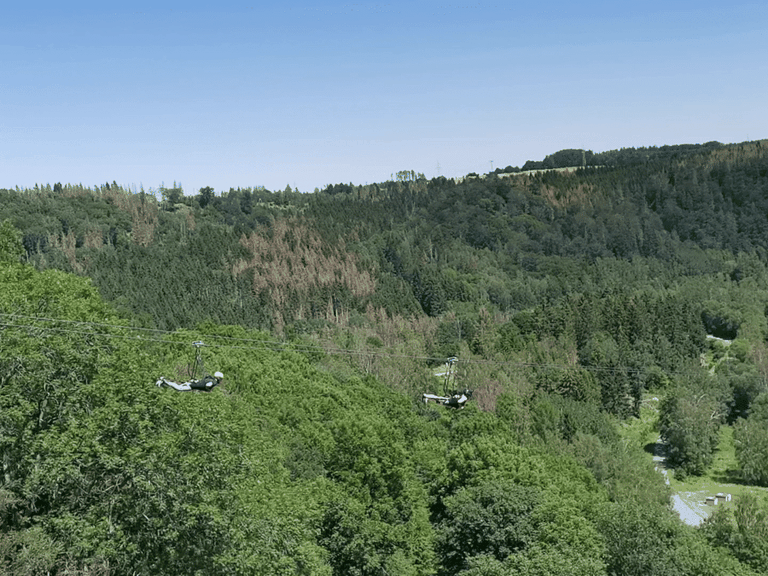 Harz Zipline (Endstation) - Mountain Bike Trails & Tracks | Komoot