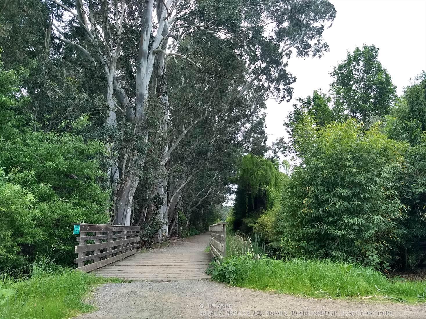 A wooden bridge crosses a dirt path surrounded by tall trees and green foliage.