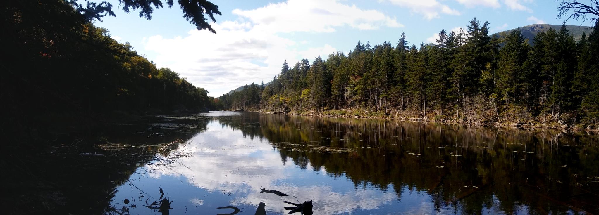 Calm lake reflecting a blue sky with clouds, surrounded by dark green forests.